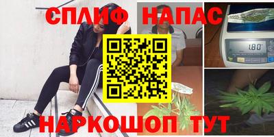 спайс Славгород