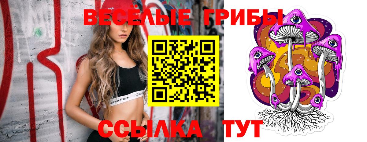 купить закладку  Вход с VPN  Протвино  Псилоцибиновые грибы Magic Shrooms  Галлюциногенные грибы ЛСД 